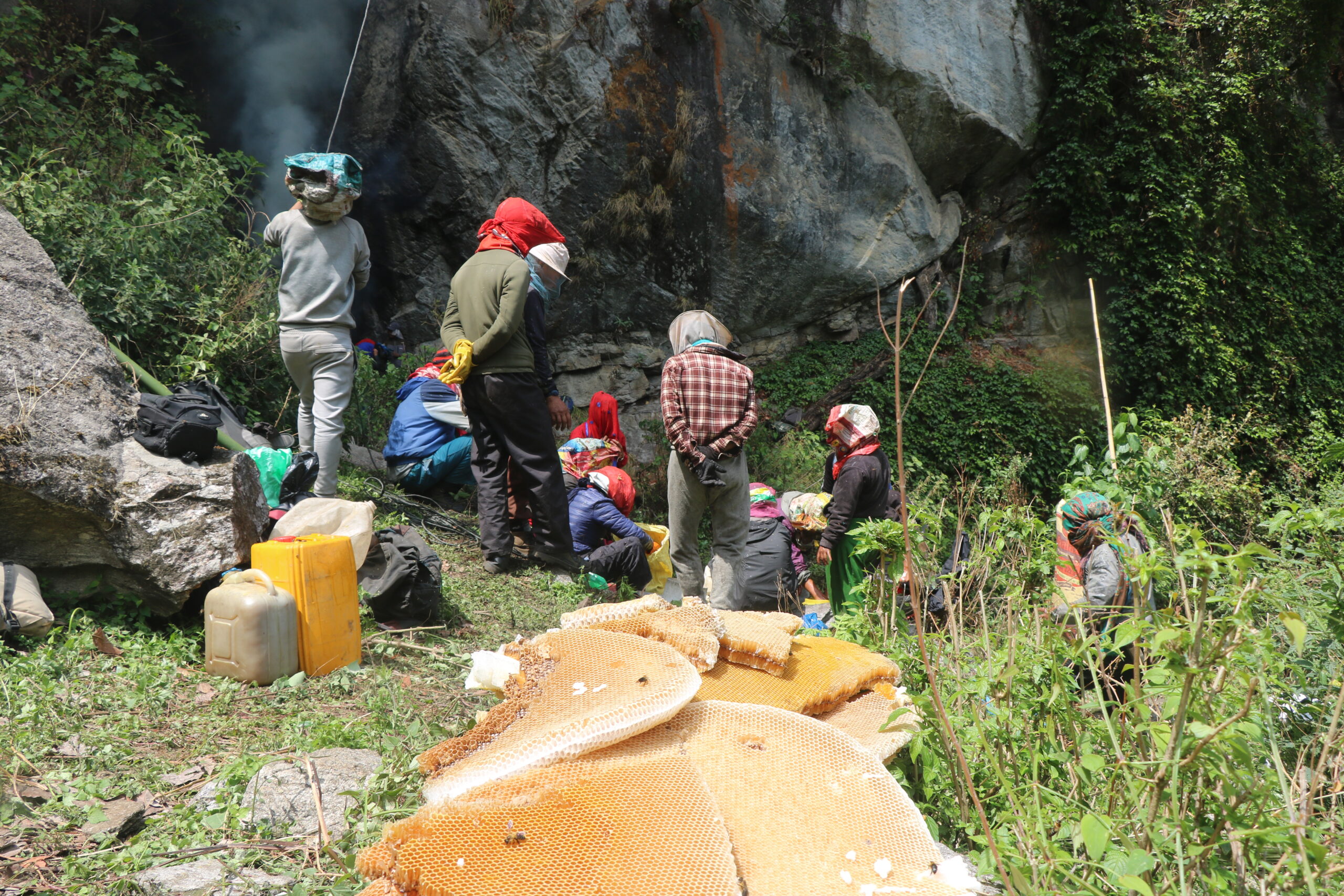 honey hunting group nepal